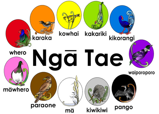 Colours Content Pack 1