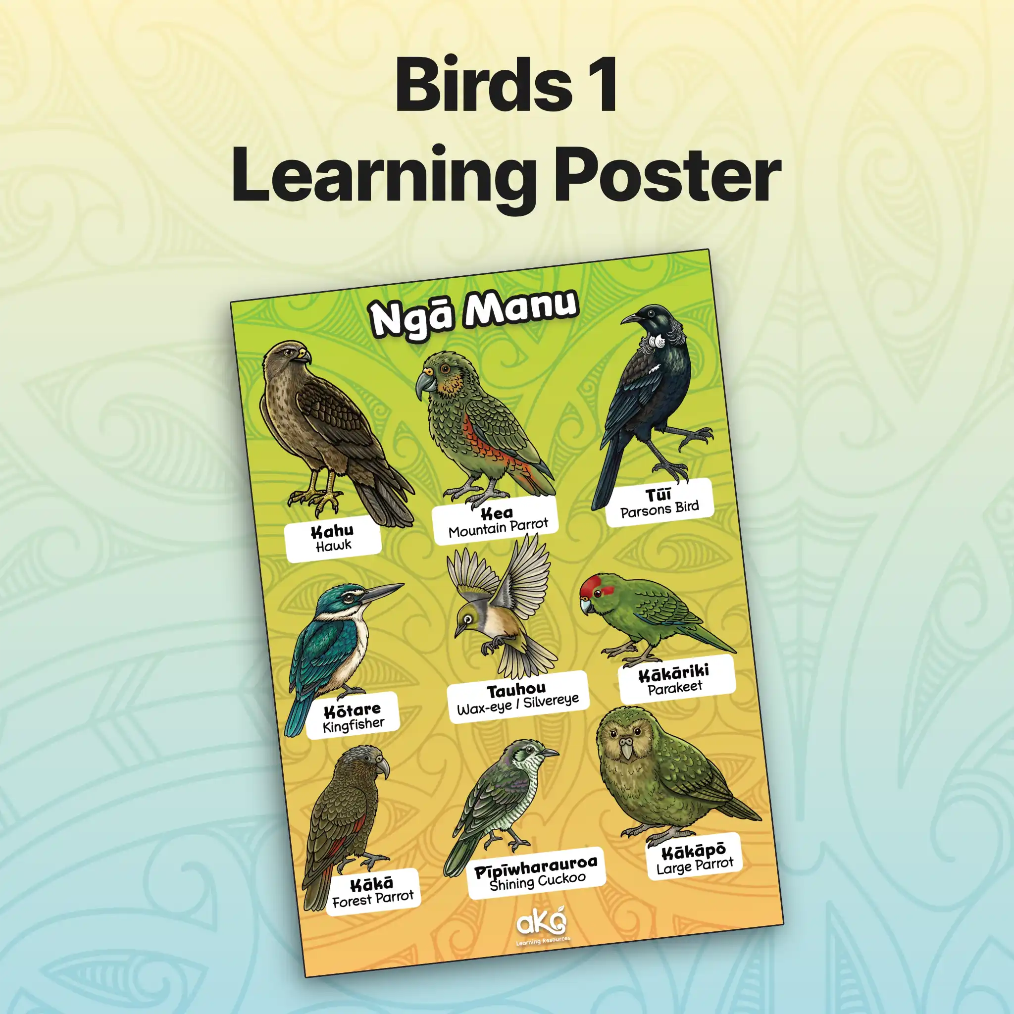 Birds 1 Learning Poster