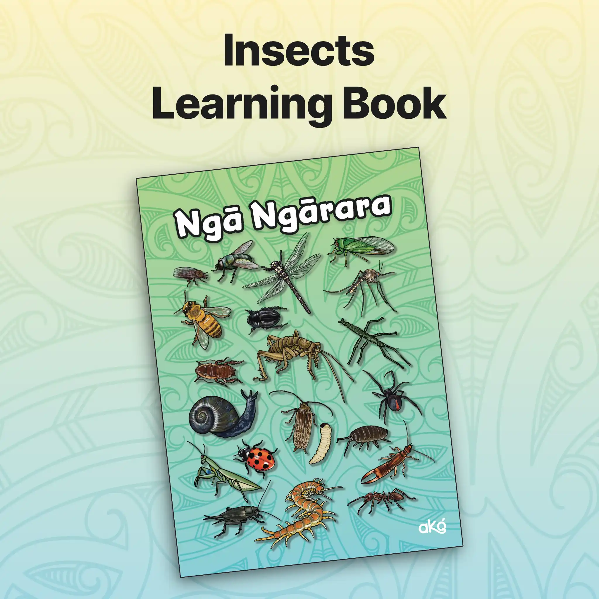Insects Learning Booklet