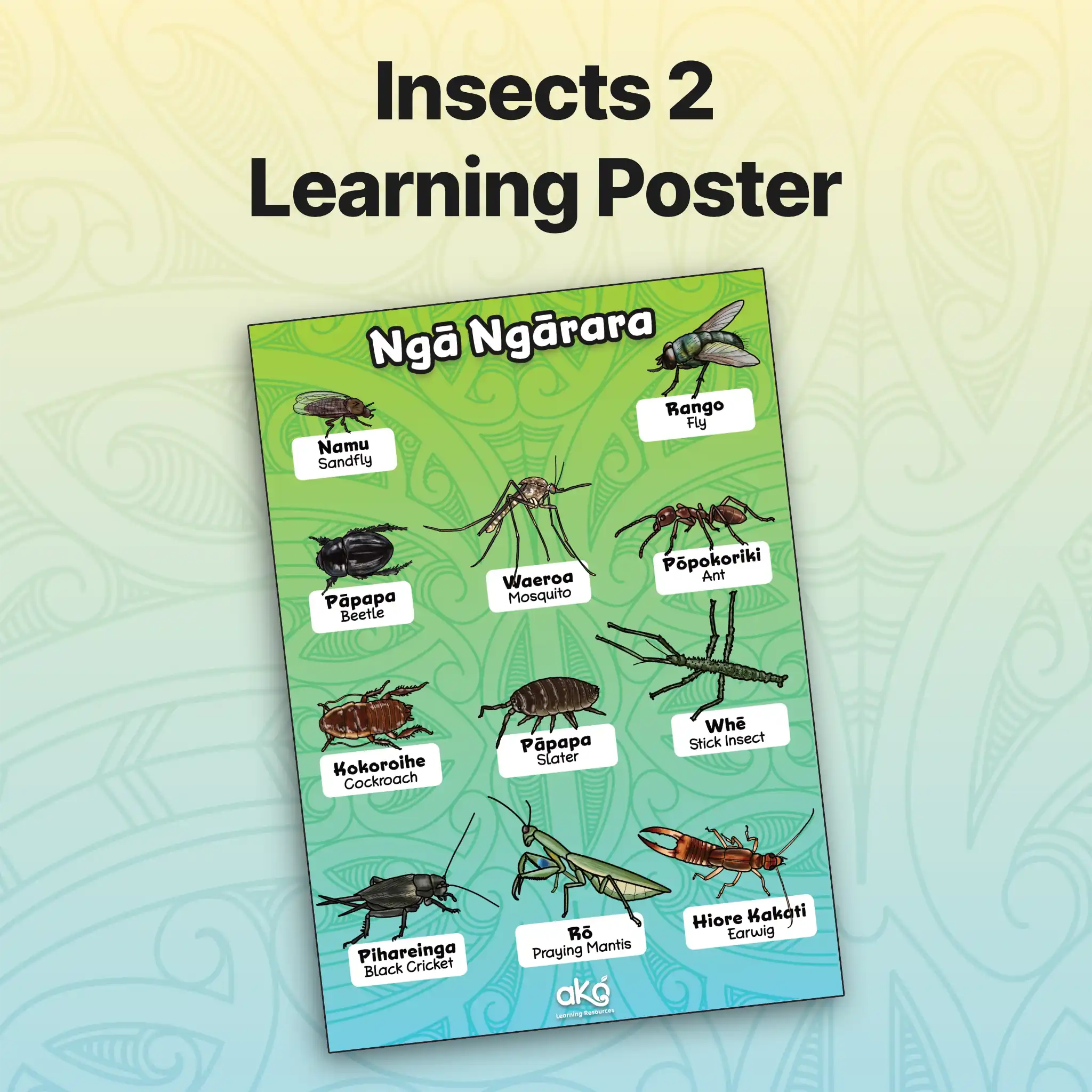 Insects 2 Learning Poster