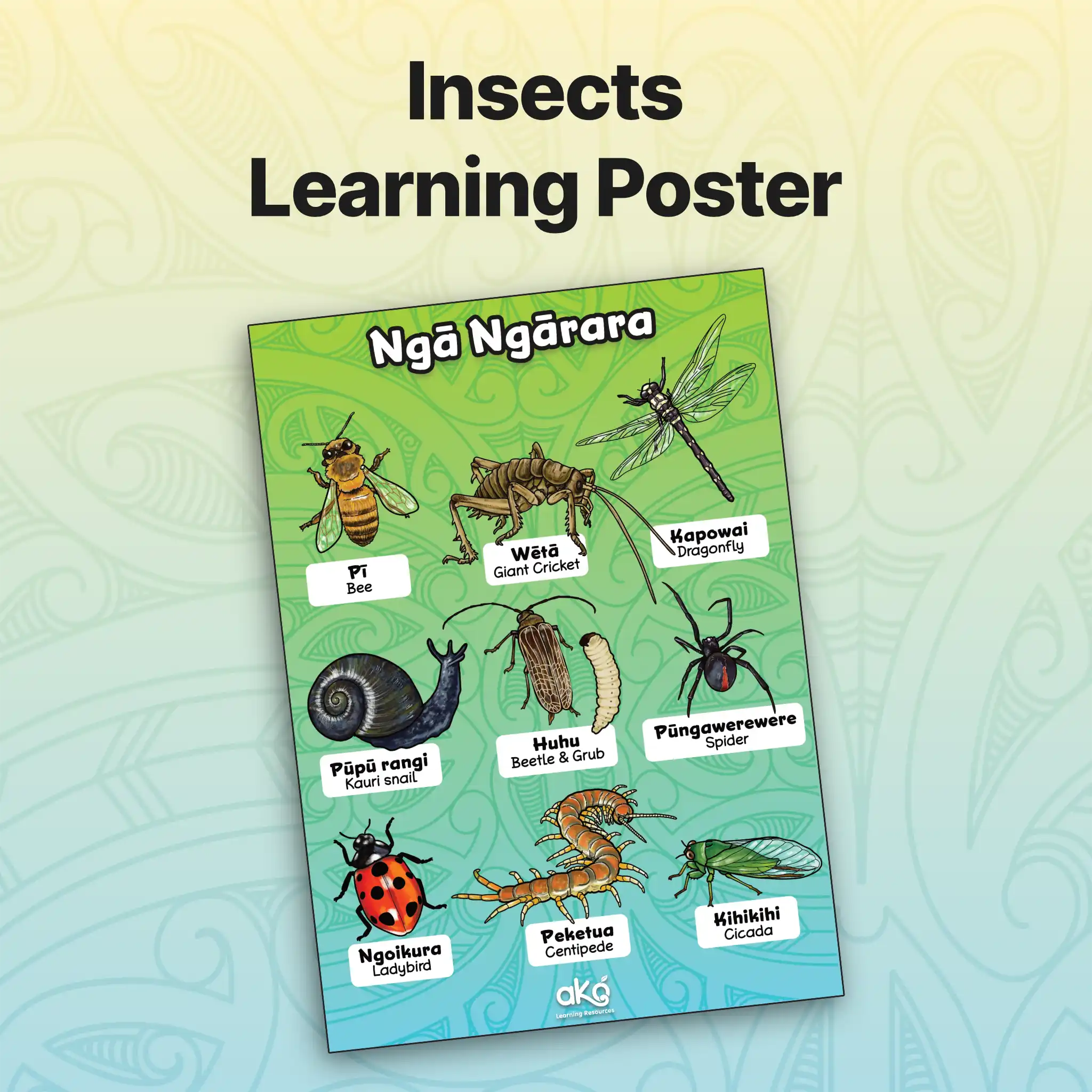 Insects Learning Poster