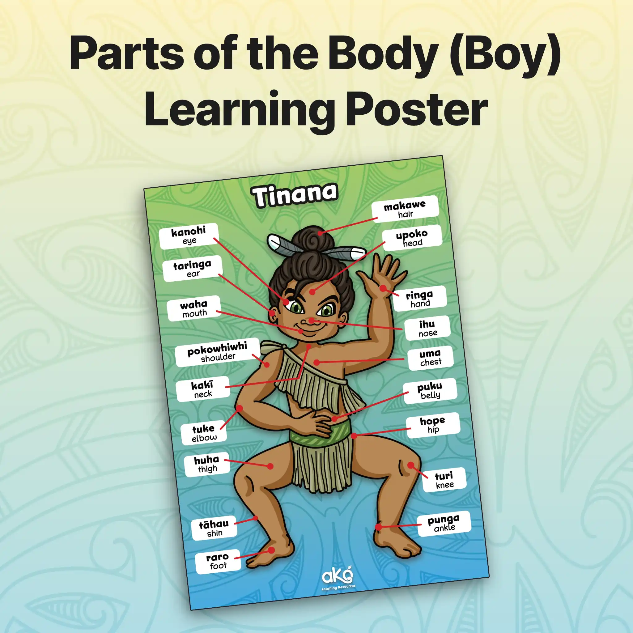 Parts of the Body (Boy) Learning Poster