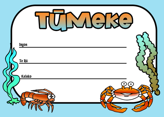 Certificate - Tūmeke Style 6